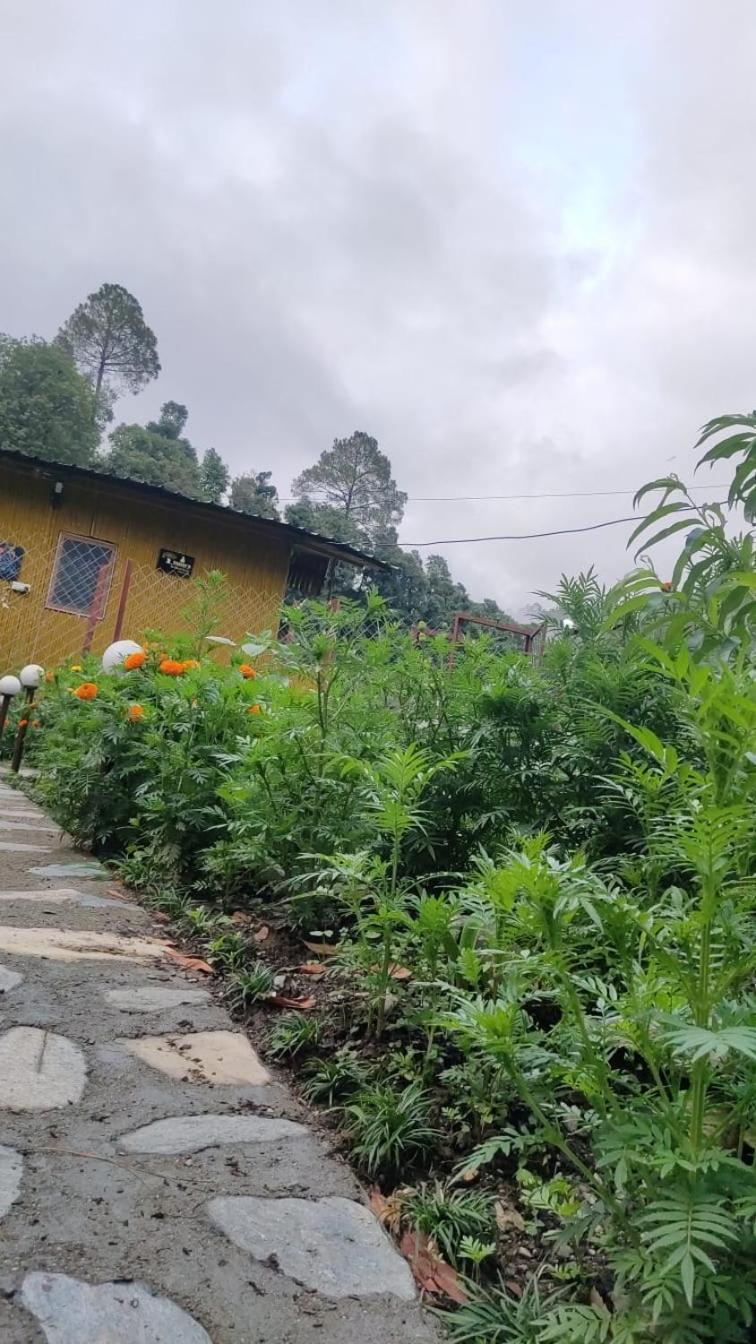 Krishna Kutir, Talla Ramgarh By The Meditating Society Kültér fotó